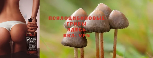 первитин Абаза