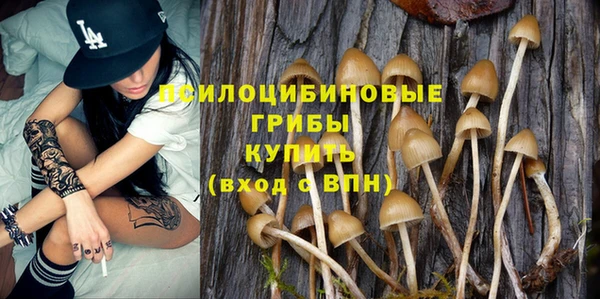 первитин Абаза