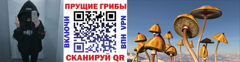 Псилоцибиновые грибы ЛСД Струнино