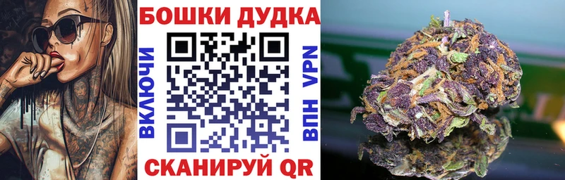 OMG как зайти  Струнино  Каннабис план 